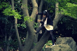木に登る　モデルamikoの写真